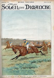 Paardenrace: 