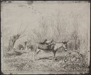 Een Ezel in het Veld door Charles Francois Daubigny