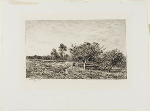 Appelbomen in Auvers