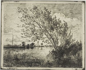 Groep elzenbomen door Charles Francois Daubigny