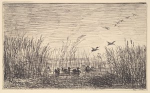 Eenden in de moerassen door Charles Francois Daubigny