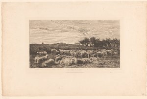 Landschap met kudde schapen door Charles Francois Daubigny