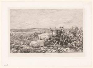 Landschap met rustend vee tussen wijnranken