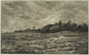 Le Pré des Graves in Villerville (Calvados)