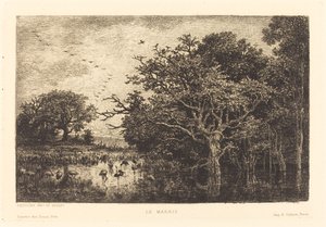 Moeras (Le Marais) door Charles Francois Daubigny