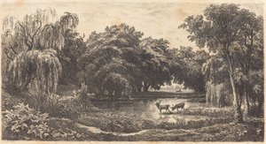 Vijver met Herten (La Mare aux cerfs)