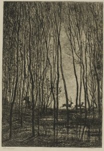 Herten in het Bos