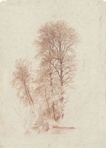 Studie van twee slanke en enige kleinere bomen in blad door Charles Francois Daubigny