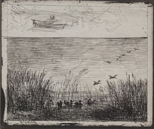 Moeras met Eenden door Charles Francois Daubigny