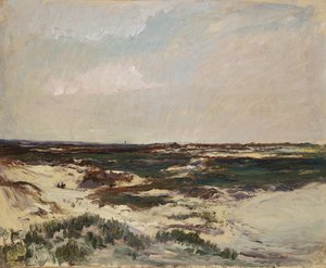 De duinen bij Camiers