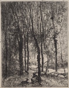 Het geitenhoedstermeisje door Charles Francois Daubigny