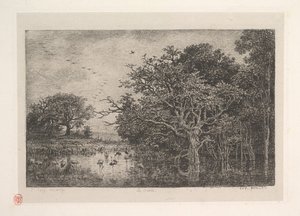 De moerassen