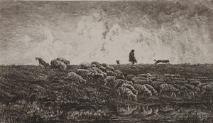 De Regenbui