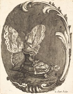 De vlinder en de schildpad