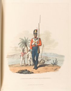 Een soldaat van het 5e West-Indische Regiment door Charles Hamilton (after) Smith
