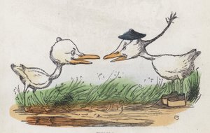 Twee vogels tegenover elkaar (gekleurde gravure) door Charles Henry (after) Bennett