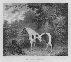 Schoonheid en Generaal (gravure)