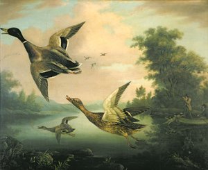 Eendenjacht door Charles Henry Schwanfelder
