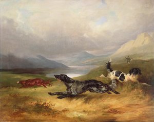 Op het Spoor door Charles Henry Schwanfelder