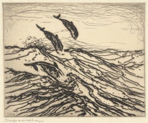 Bruinvissen door Charles Herbert Woodbury