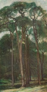 Studie van bomen, c1900 1903-1904 door Charles Holroyd
