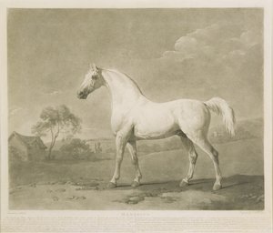 Mambrino, naar George Stubbs, 1788