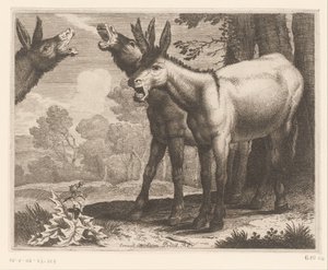Balkende ezels, Dierenserie door Charles II Errard (attributed to)
