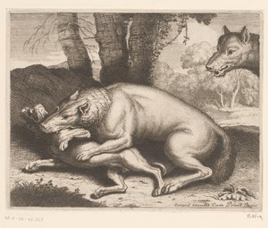 Hond aangevallen door een wolf door Charles II Errard (attributed to)