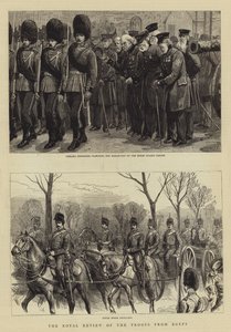 De koninklijke inspectie van de troepen uit Egypte door Charles J. Staniland