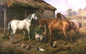 Boerderijvrienden