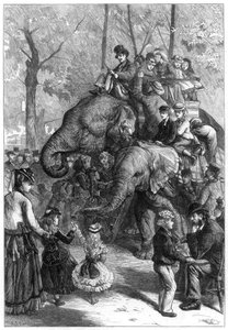 Maandagmiddag in de dierentuin, 1871 door Charles Joseph Staniland