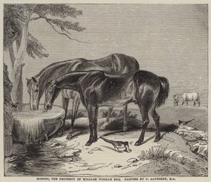 Paarden, eigendom van William Wigram, Esquire