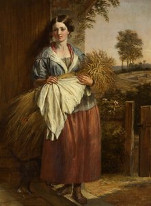 De Arenlezer