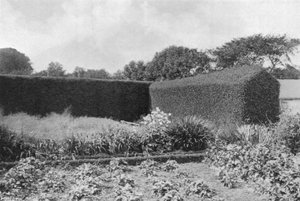 Buxushaag in de moestuin door Charles Latham