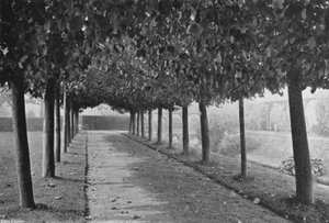 De gesnoeide wandelgang door Charles Latham