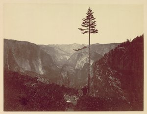 Yosemite Valley vanaf Mariposa Trail, ca. 1865 door Charles Leander Weed