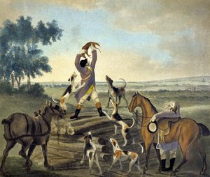 Who...op, Was Never So Carried, uit The Pytchley Hunt (gegraveerd door F. Dukes)