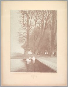 Suite de Paysages: Landschap, Plaat 6, Remarque, Lelies, 1892-1893