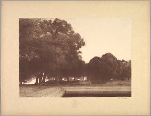 Suite de Landschappen: Landschap, Plaat 7, Remarque, Klaprozen door Charles Marie Dulac
