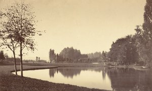 Bois de Boulogne door Charles Marville