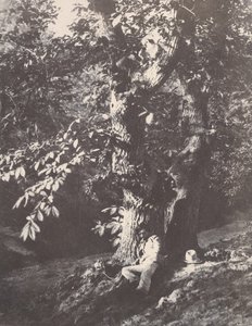Man liggend aan de voet van een kastanjeboom, 1850-53 door Charles Marville