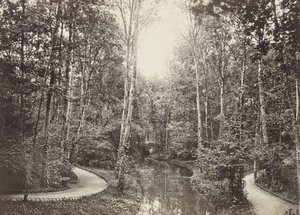 Mare aux biches, Bois de Boulogne