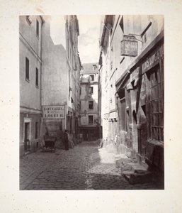 Rue d