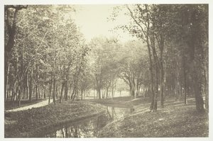 Zonder Titel, ca. 1850. [Bomen bij water in het Bois de Boulogne, een park in Parijs]