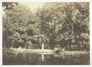 Zonder titel, ca. 1850. [Bomen bij water in het Bois de Boulogne, een park in Parijs] door Charles Marville