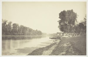 Zonder titel, ca. 1850 [Bomen bij water in het Bois de Boulogne, een park in Parijs] door Charles Marville