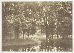 Zonder titel, ca. 1850. [Bomen bij water in het Bois de Boulogne, een park in Parijs] door Charles Marville