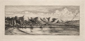 Seine vissen bij Charcoal Burners Point, Akaroa, 1865