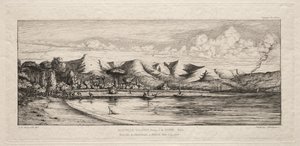 Seine Vissen bij Houtskoolbranderspunt, Akaroa, Banks