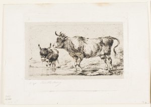 De koe en de ezel